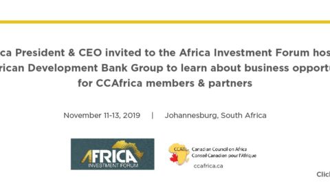Africa Investment Forum 2019